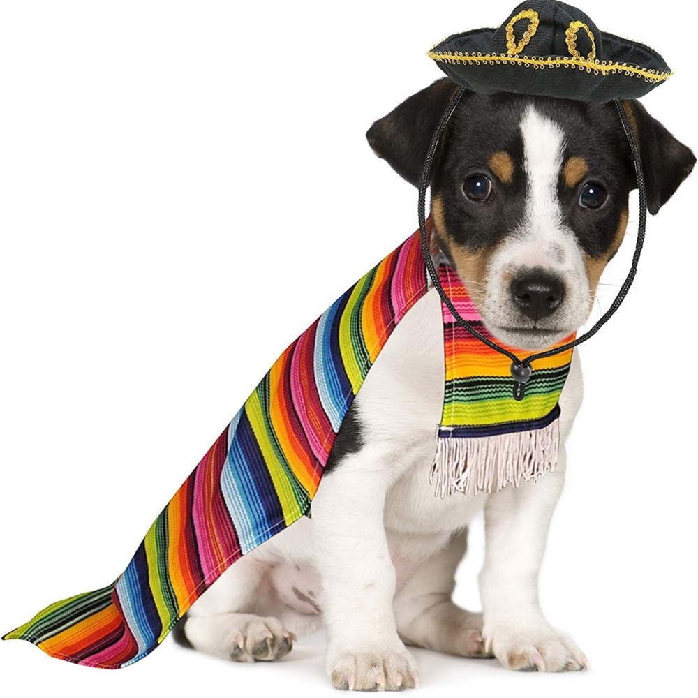 Mexican Poncho Dog Pet Costume Cinco de Mayo Day of the Dead Hat & Poncho NEW - Picture 1 of 12